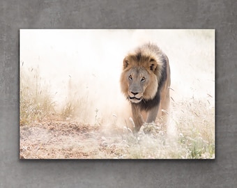 Lion Photography Print | Lion Decor | Lion Wall Art | Lion Nursery Decor | Lion Print | Wildlife Photography