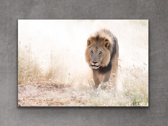 lion wall art nursery