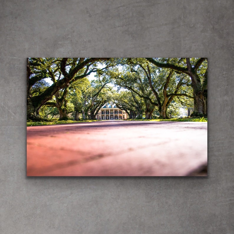 Plantation Art Southern Wall Decor Southern Art Print Southern Wall Art Oak Alley Plantation Photography Print Louisiana Art Art Collectibles Color Vadel Com