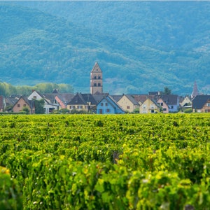 France Photography Print | French Village | French Vineyard Art | Wine Decor | French Art Print | France Wall Art | Vineyard Wall Art