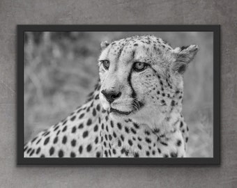 Cheetah Photography Print | Cheetah Wall Art | Black and White Cheetah | Animal Portrait | Safari Nursery Decor | Safari Nursery Art