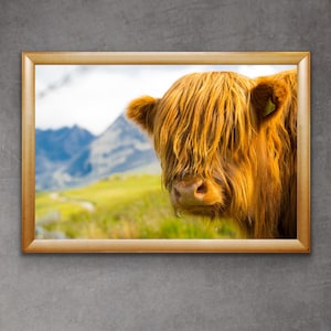 Highland Cow Photography Print | Highland Cattle Art | Scotland Wall Art | Highland Cattle Photography Print | Highland Cow Art