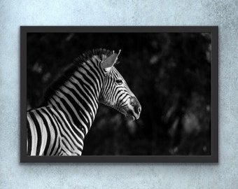 Impressão da fotografia da zebra | Arte Zebra | Decoração Zebra | Arte de parede de zebra | Decoração de berçário Safari | Arte do Berçário Safari | Viveiro de zebras