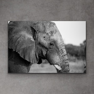Elefant Fotografie Druck | Elefant Kunst | Elefant-Wand-Dekor | Schwarz-weißer Elefant