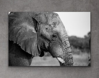 Elephant Photography Print | Elephant Art | Elephant Wall Decor | Black and White Elephant
