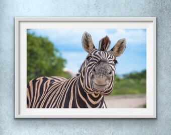 Zebra Photography Print | Zebra Decor | Zebra Wall Art | Zebra Nursery Art | Safari Nursery Decor