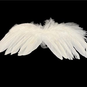 May include: A pair of white angel wings made of feathers. The wings are spread out and have a soft, fluffy texture.