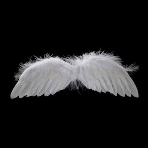 White Feather ANGEL WINGS 11&quot; x 3.5&quot; Small Size by cheswickcompany