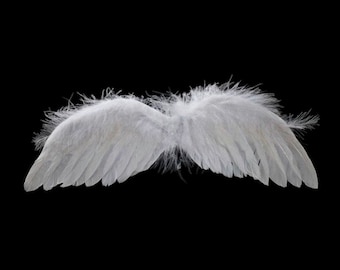 Plume blanche AILES D'ANGE 11" x 3,5" Petite taille par cheswickcompany