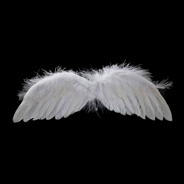 White Feather ANGEL WINGS 11" x 3.5" Small Size by cheswickcompany