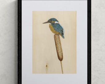 Impresión de obra de arte de Martín pescador (pirograbado y acrílico)