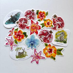 Lot de 13 autocollants faits main avec oeuvre d'art originale | Autocollants durables | Autocollants en vinyle | Stickers ordinateur portable