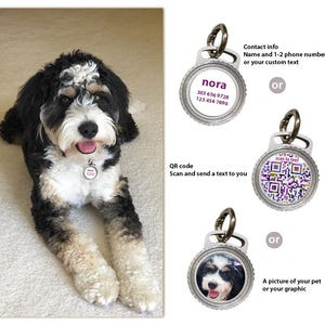 Personalisierte wasserdichte AirTag Hunde-ID Fall Halsband Einzigartige AirTag-Halter für die Verfolgung Ihrer Hund und Katze Online-Haustier-Profil-Tag QR Fido-Tag
