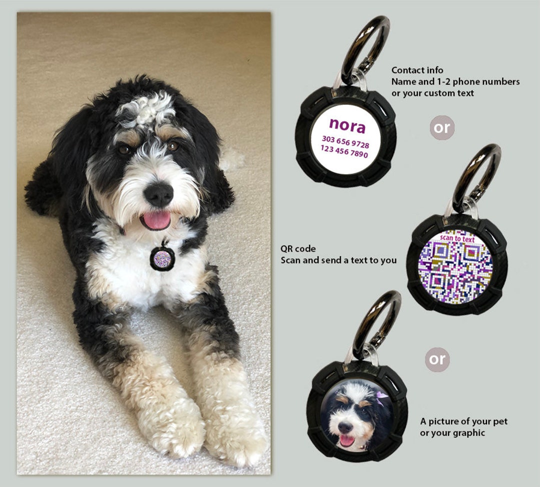 Personalized QR Code Dog ID Tag for Airtag Unique Airtag Etsy
