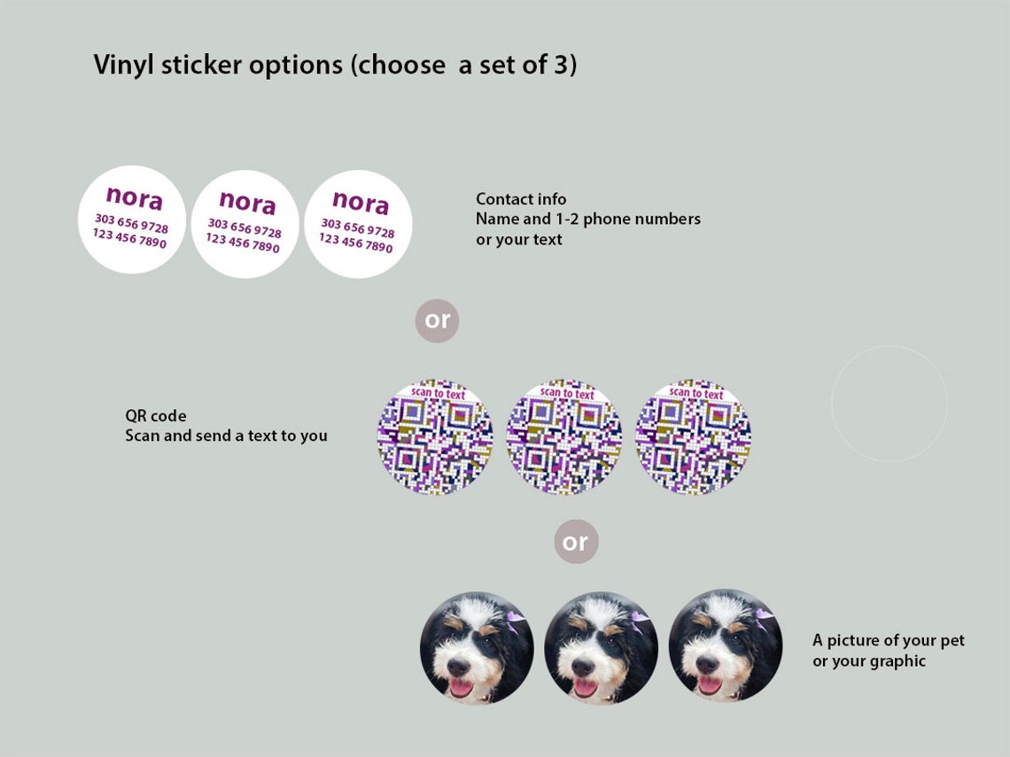 Personalized QR Code Dog ID Tag for Airtag Unique Airtag Etsy