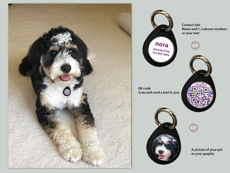 Personalized QR Code Dog ID Tag for Airtag Unique Airtag Etsy