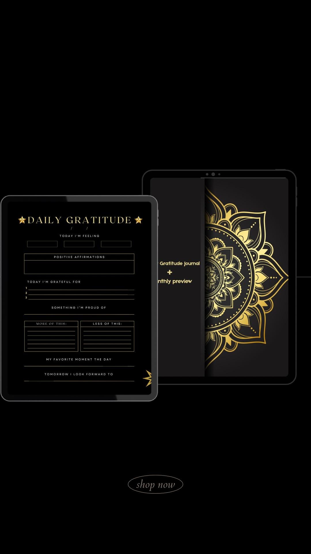 Gratitude Journal|canva Fillable| Canva Template - Daily Reflections ...