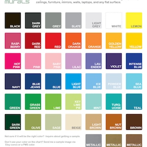 May include: Color chart with 60 different colors, including black, white, red, blue, green, yellow, orange, purple, brown, and grey. The chart is labeled "Decals Murals" and includes a description of the product.