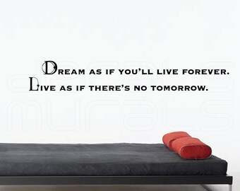 Wall decals "DREAM as if You'll live forever. LIVE as if there's no tomorrow" Vinyl lettering for walls by Decals Murals