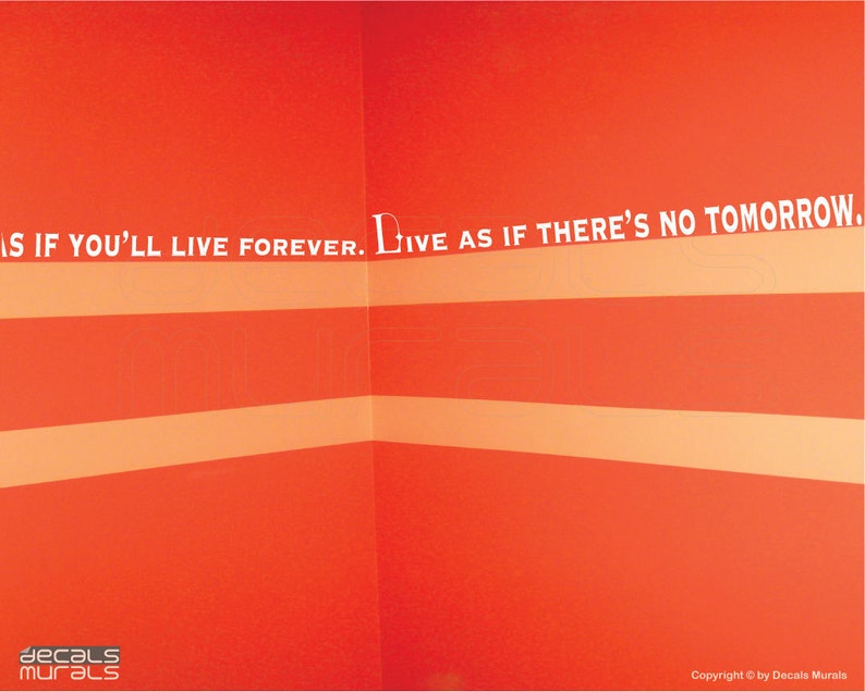 Wall decals DREAM as if You'll live forever. LIVE as if there's no tomorrow Vinyl lettering for walls by Decals Murals image 4