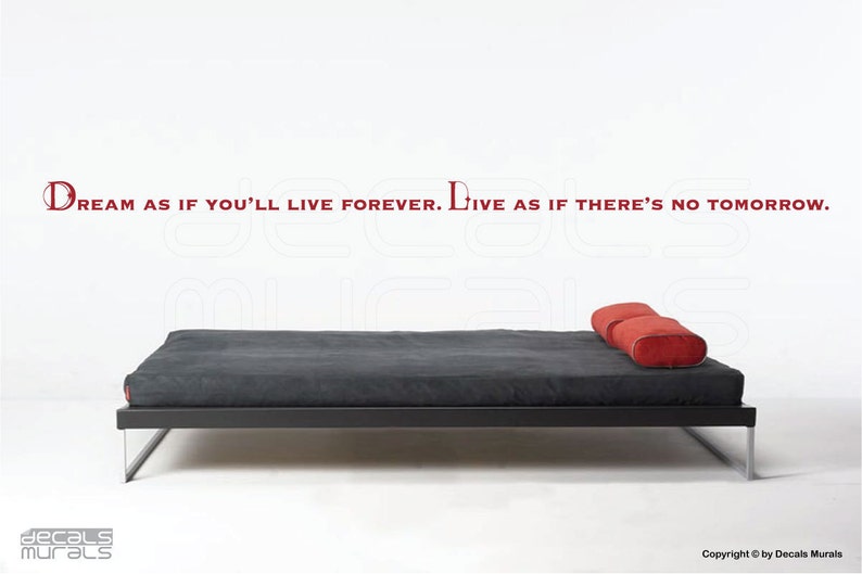 Wall decals DREAM as if You'll live forever. LIVE as if there's no tomorrow Vinyl lettering for walls by Decals Murals image 3