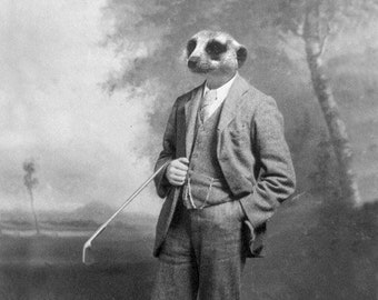 Meerkat Photo - Funny Vintage - Animal in a Suit - Golf Gift - Father Dad Gift - Collage Art - Weird Animal - Photoshop - 8x10 Photography