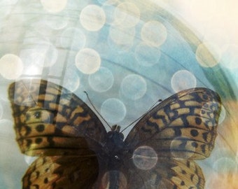 Butterfly Photography - Yellow and Black Butterfly - Turquoise - Light Orbs - Bokeh - Colorful - Fine Art 5x7 Print - Insect - Nature