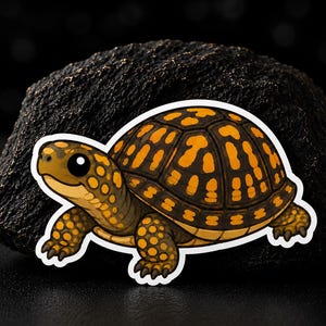 Cute Box Turtle Sticker | Kawaii Turtle Vinyl Decal | Adorable Tortoise Die Cut Sticker | Reptile Lover Gift