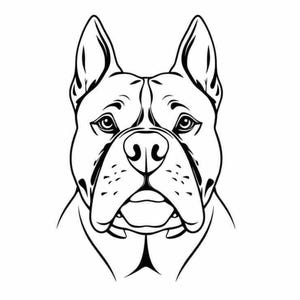 Amerikanischer Bully