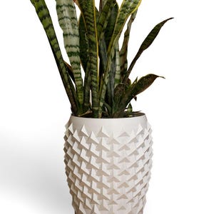 May include: A white geometric planter pot with a snake plant. The pot has a textured, three-dimensional design. The snake plant has long, upright leaves with green and yellow stripes. The plant is in a white pot.