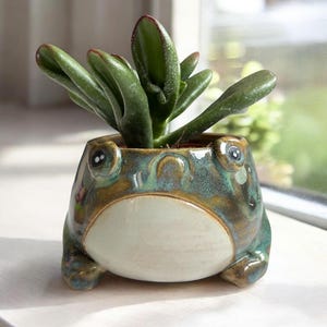 Peut inclure: Un pot de plante en céramique en forme de grenouille avec un glaçage vert et bleu, contenant une plante succulente verte. Le pot a un ventre blanc et de petits pieds. La plante succulente a des feuilles épaisses et ovales avec des bords rouges.