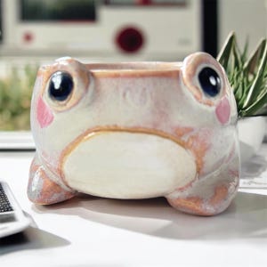 Può includere: Un vaso a forma di rana in ceramica con un design stravagante. Il vaso presenta una combinazione di colori rosa chiaro e bianco, con occhi blu e guance rosa. La rana ha una bocca ampia e aperta, progettata per piccole piante.