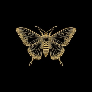 May include: A gold butterfly illustration on a black background. The butterfly is rendered with fine lines, detailing its wings, body, and antennae. The symmetrical design is centrally positioned, offering a bold visual impact.