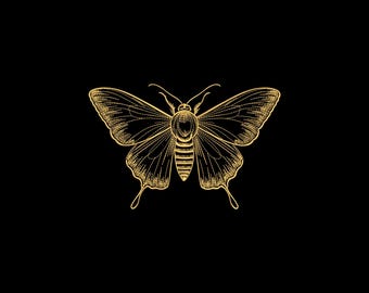 Elegant Moth Embroidery Design, Moth Machine Embroidery Design, 4 Sizes, Instant Download File