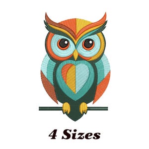 Colorful Owl Embroidery Design, Owl Machine Embroidery Design, Funny Owl Embroidery Design For Men, Women, Girls