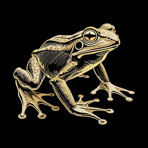 Puede incluir: Ilustración detallada de una rana dorada sobre un fondo negro. La rana está representada de forma estilizada y artística, con intrincados trazos y sombreado. Los ojos de la rana tienen un diseño en forma de estrella.