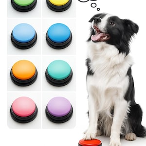 May include: A black and white Border Collie sits near a red button, with a thought bubble above it that says "go to play." Six colorful buttons are arranged in a grid: green, yellow, blue, orange, teal, pink, and purple.