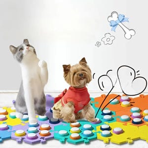 Pet Communication Buttons for Dogs & Cats, Voice Recording Training Buttons, Mat Included