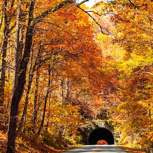 Fall Appalachian Prints