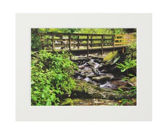 Lámina botánica enmarcada: Decoración de pared inspirada en la naturaleza (impresión giclée)