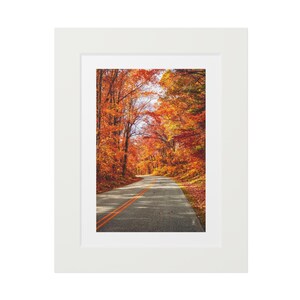 Puede incluir: Una impresión enmarcada que muestra una carretera a través de un bosque otoñal. Los árboles exhiben un follaje naranja y rojo vibrante, formando un túnel sobre la carretera asfaltada. La impresión se presenta dentro de un marco blanco.