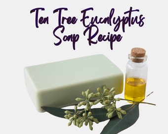 Tea Tree Eucalyptus Soap Recipe | Soap Recipes | Digital Soap Recipes | Natural Soap Recipes | Hot Process Soap Recipe