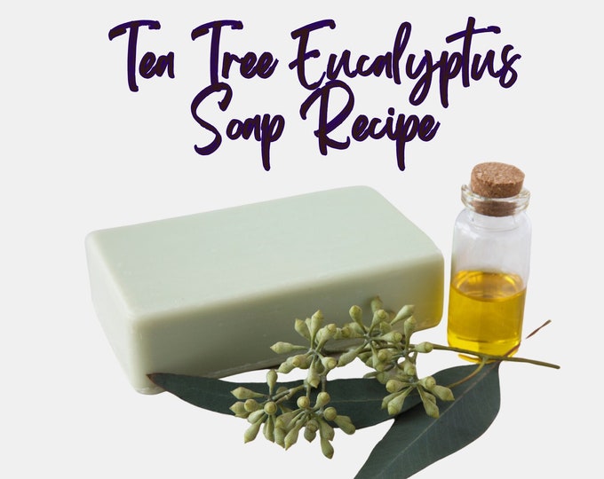 Tea Tree  Eucalyptus Soap Recipe | Soap Recipes | Digital Soap Recipes | Natural Soap Recipes | Hot Process Soap Recipe