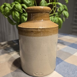 May include: A classic stoneware jar, featuring a light beige body and a brown rim. The jar has a cylindrical form with a slightly wider top. Fresh green basil leaves are visible in the background, providing a natural contrast to the jar.
