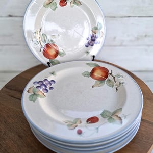 May include: A stack of round ceramic plates with a speckled off-white base and a light blue rim. Each plate features a botanical illustration of red apples, purple grapes, and small red strawberries with green leaves and white blossoms.