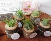 Wood and Airplant Wedding Favors/Place Card Holders - 5