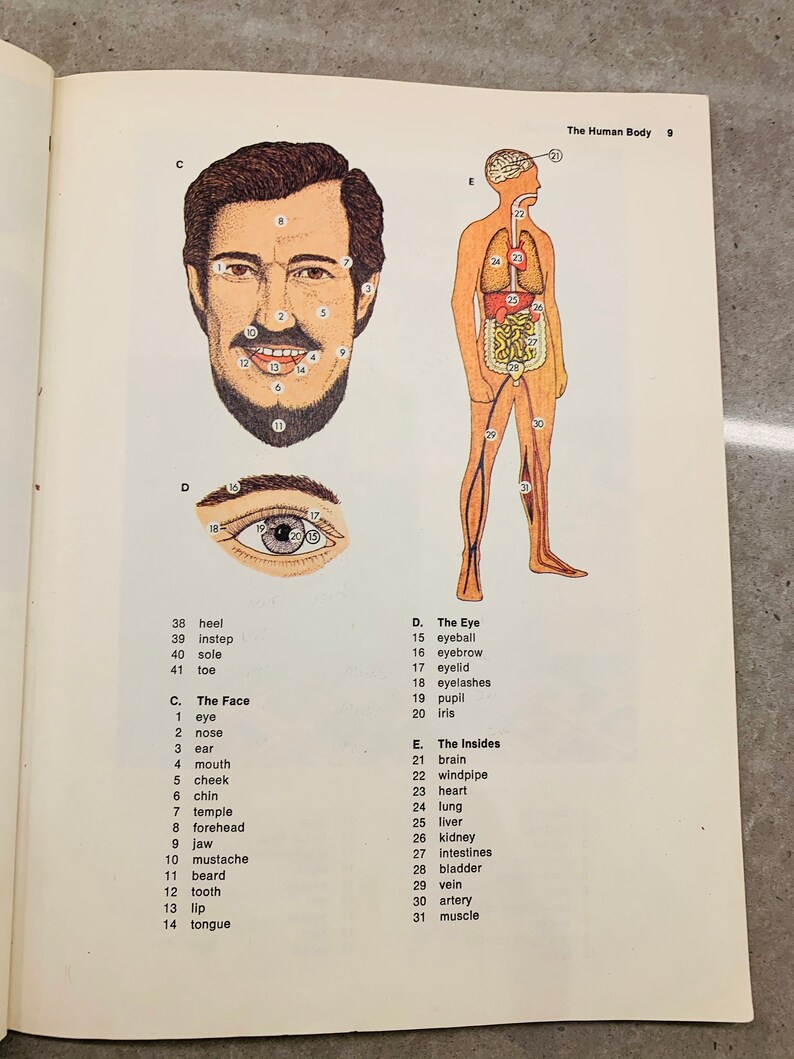 Oxford Picture Dictionary of American English 1978 Soft Cover Etsy