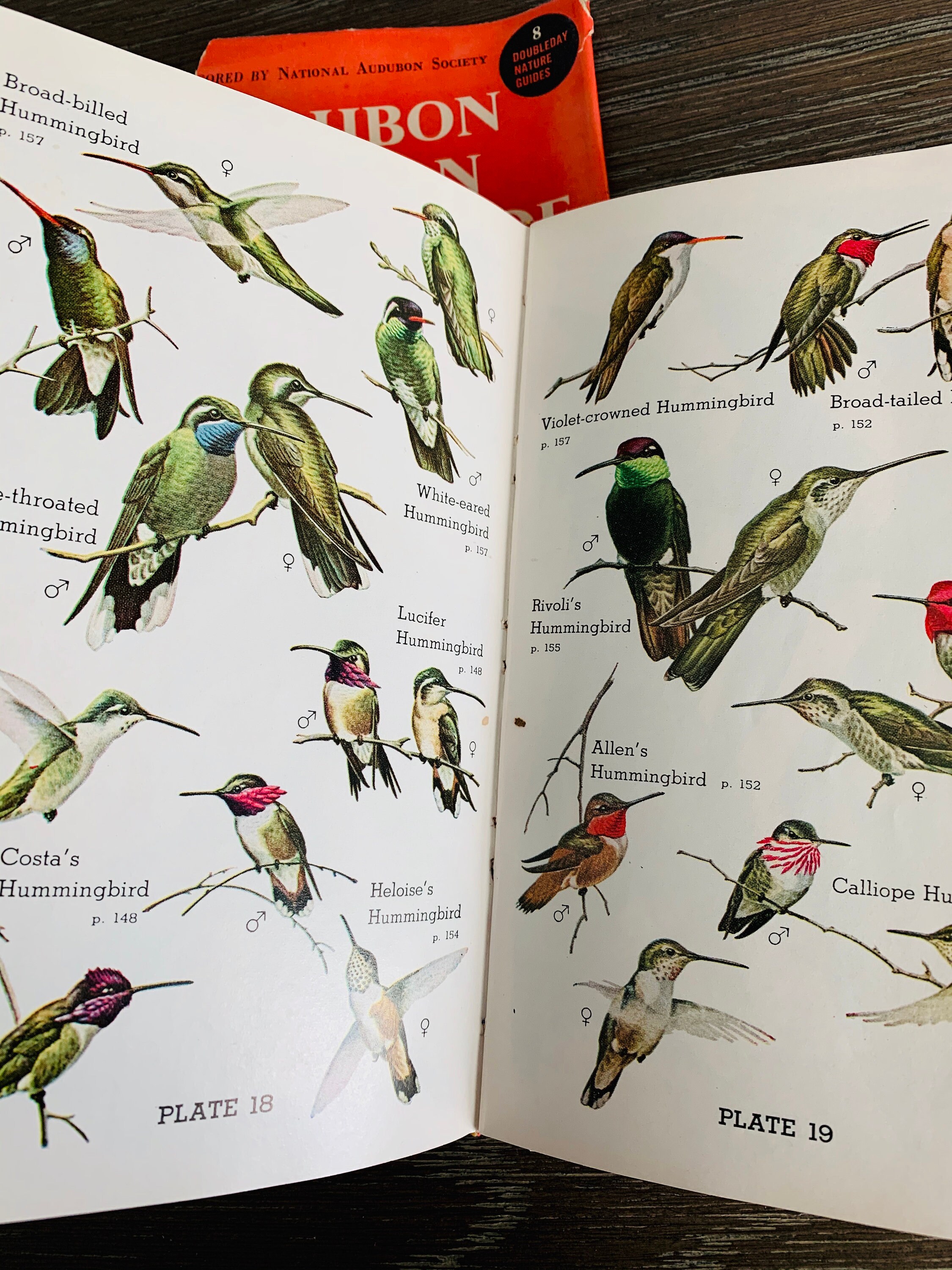 Audubon Western Bird Guide by Richard H. Pough Hardback With Dust Cover 1957 - Etsy Canada