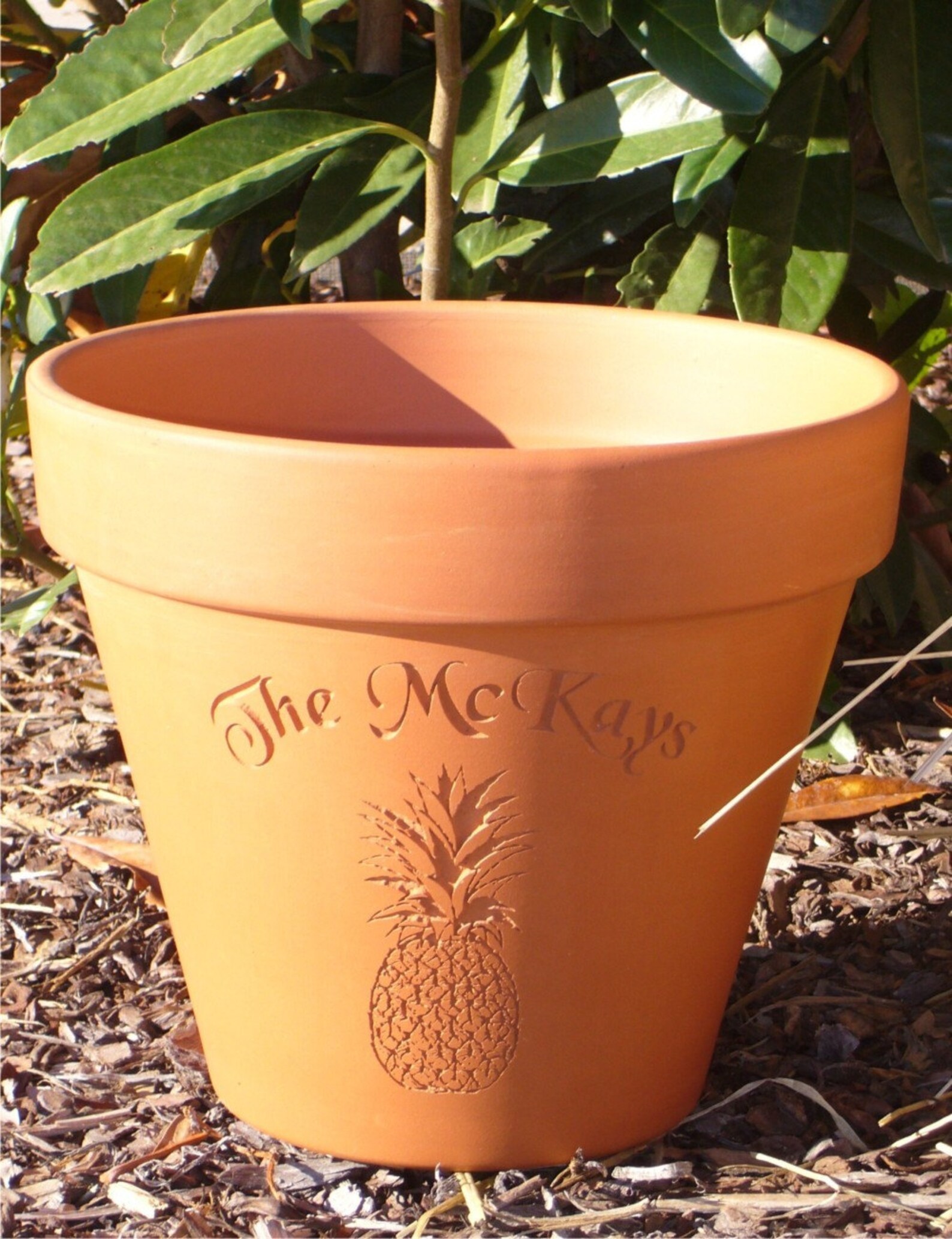 Engraved Custom Carved Terra Cotta Flower Pot Etsy