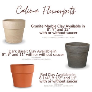 Rooted in Love Engraved Custom Carved Terra Cotta Flower Pot Planter White Granite Marble, Red, or Basalt Clay Tree of Life image 6